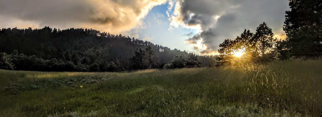Wyoming mountain landscape at sunset — bat research study area