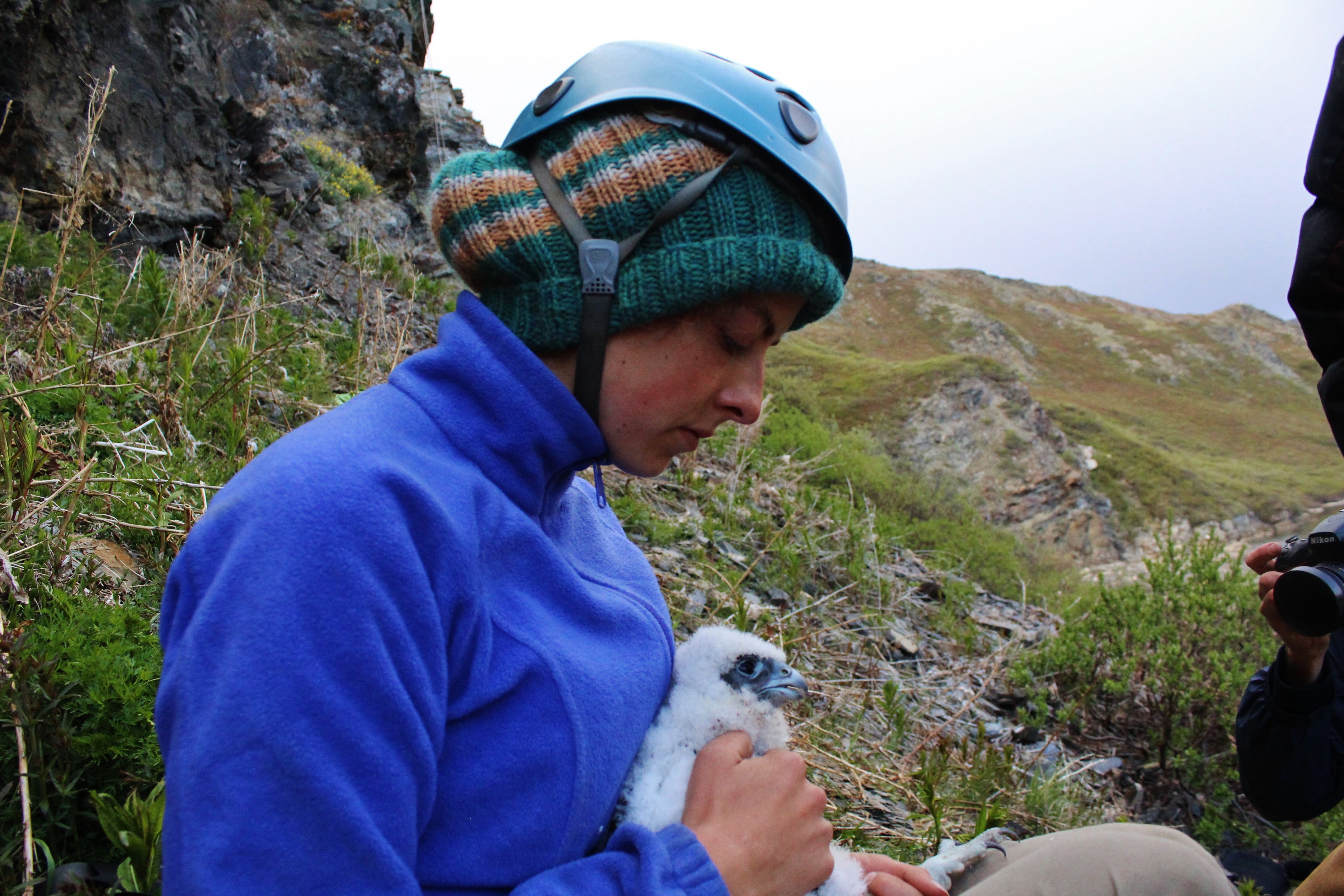 Ellen Whittle conducting bat fieldwork in Wyoming