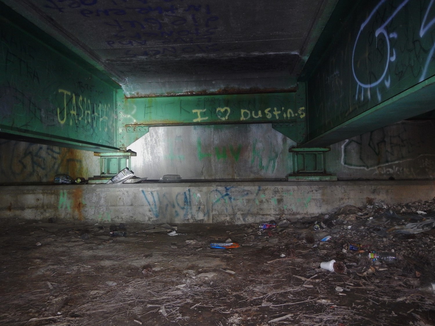 Evidence of bat use under a highway bridge in western Montana