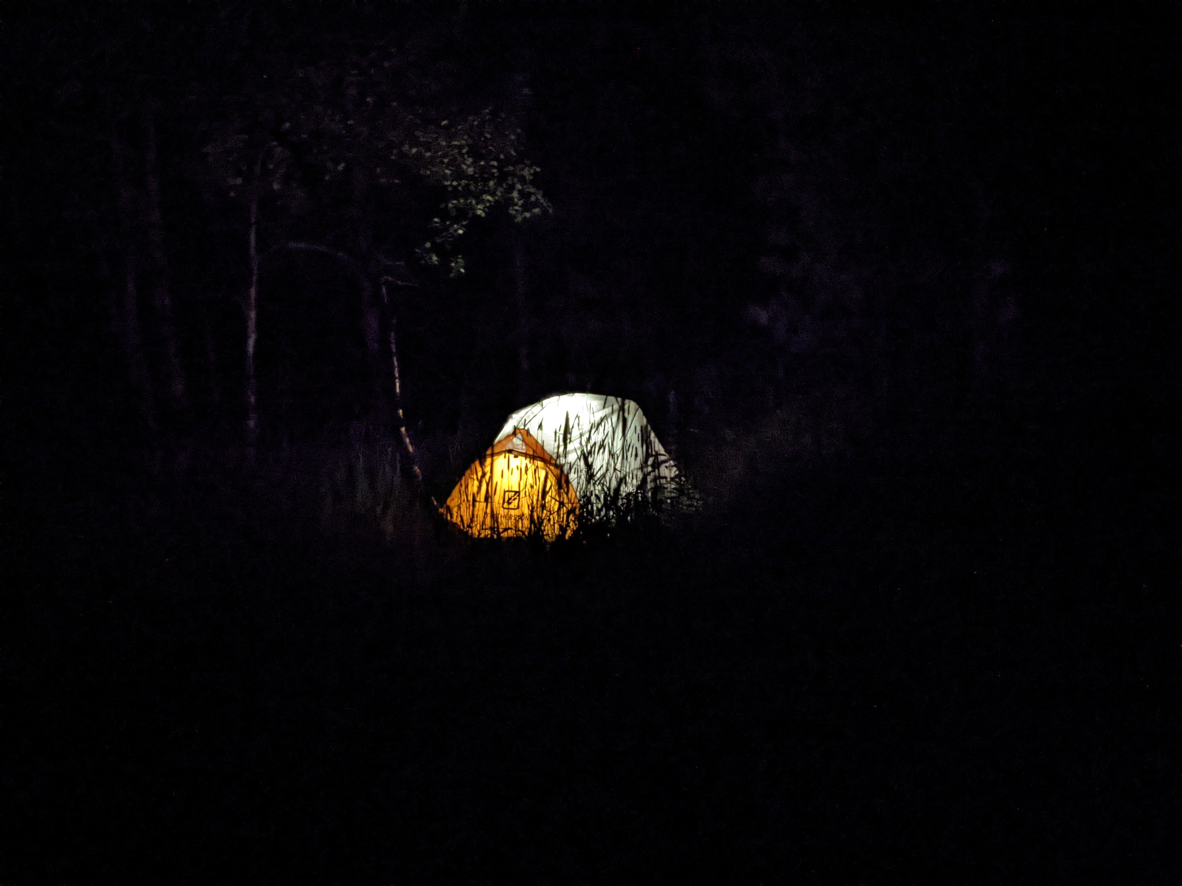 Night fieldwork